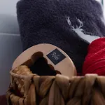 Lägenhet Regenbogen Mit Indoorrutschbahn