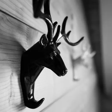 Regenbogen Mit Indoorrutschbahn Appartement *