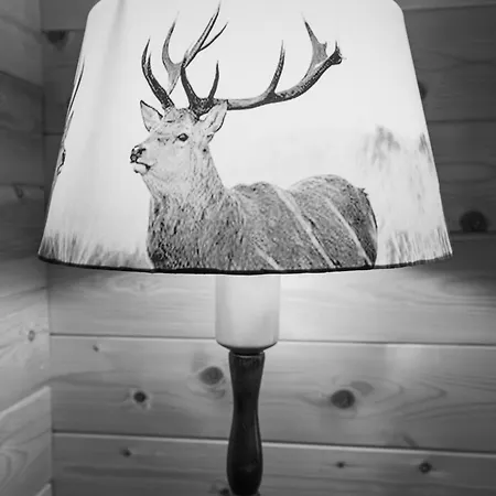 Apartment Regenbogen Mit Indoorrutschbahn